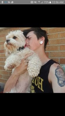 DSpeedreader's profile picture. If I were a bird I would fly right into the ceiling fan.