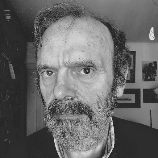 ManuelForcadela's profile picture. verbíboro poematocrito autocaravanícola