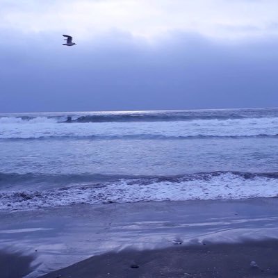 Martin🇨🇱 Profile