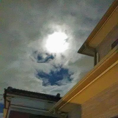 Kuni49907428's profile picture. 