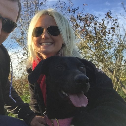 JLVacchio's profile picture. Mother. Wife. Dog Lover. Special Education Teacher