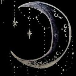 Dark_Moon_Lily's profile picture. Writer. Dreamer. Gamer.