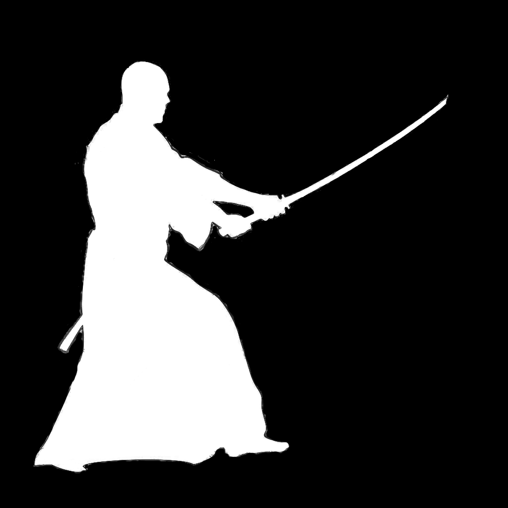 TTI_iaido Profile Picture