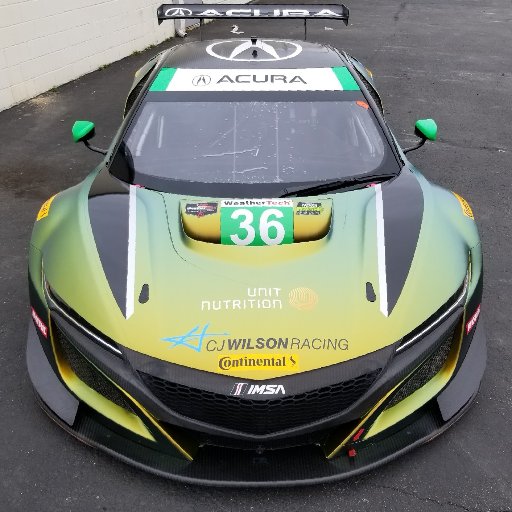 The 2015 IMSA Continental Tire ST Class Champions. Racing in the IMSA WeatherTech SportsCar Championship in an Acura NSX GT3.