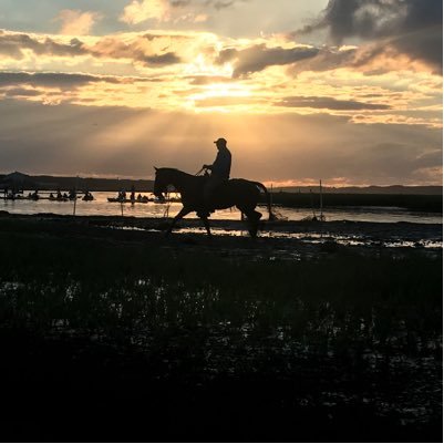 claird17315's profile picture. I play field hockey,love my pets and family, like penguins and I like to take photos.