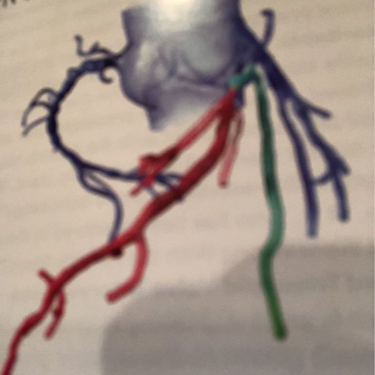 Interventional Cardiologist. hopeless healthcare for all advocate. average dude. opinions mine. RT not endorsement.