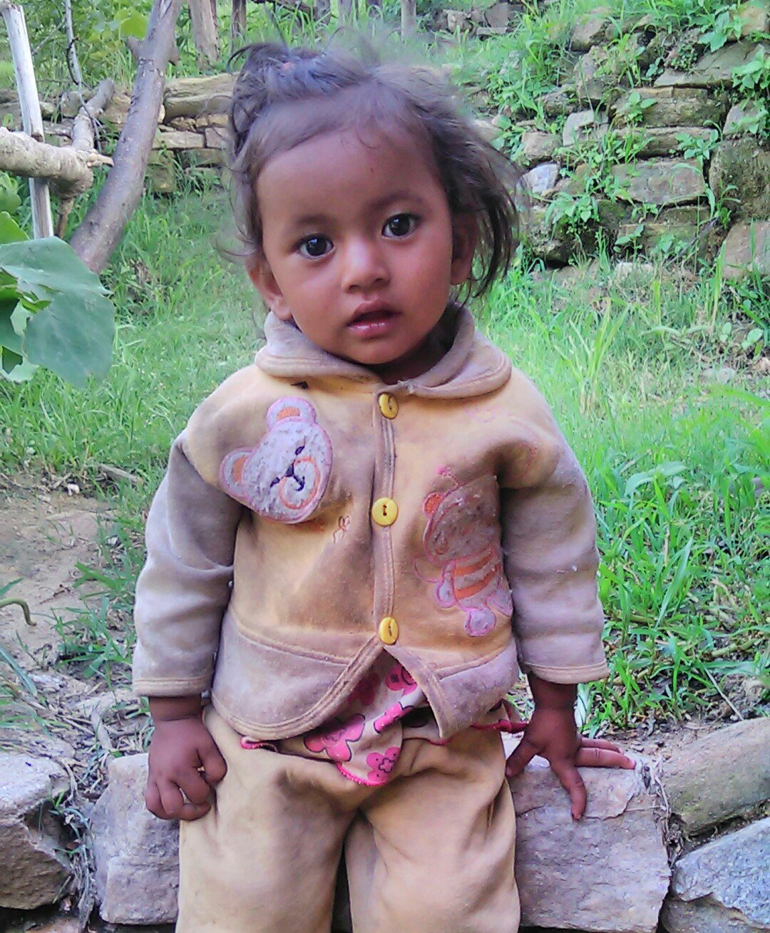 AchhamiKhadka's profile picture. 