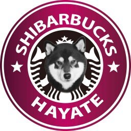 ハヤテ On Twitter ソンムル企画 セブチカフェグッズ ポストカード ジョンハンバージョン 1名 参加期限は5月25日まで セブチカフェ Seventeen Seventeencafe Seventeenカフェ