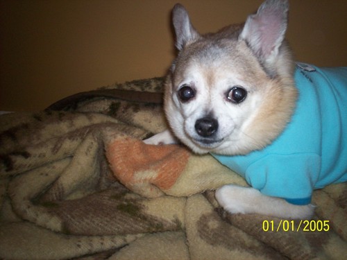 heartmonger999's profile picture. I love all kinds of music, concerts, reading, & spending time with family & friends. I hate cooking, dusting & liver.  I LOVE KELLY CLARKSON AND STEVIE NICKS!!!