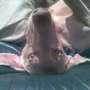 Will Warren - @willvws - Twitter