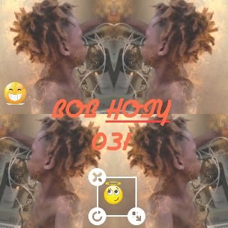 BOB HOIY 031