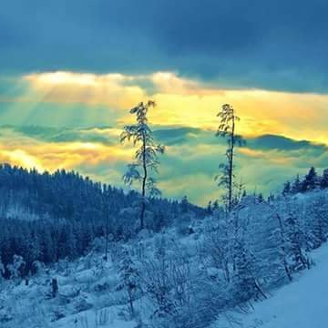 Iyfra_Ab's profile picture. An aspiring being