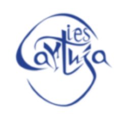 IES Cartuja Profile