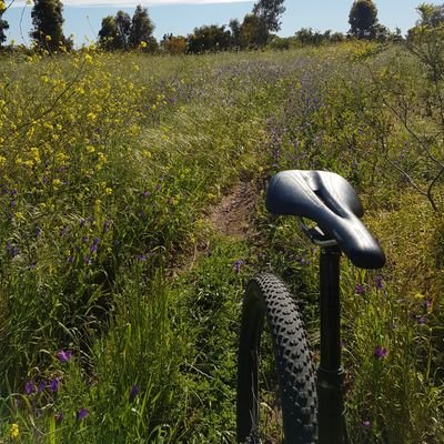 joninoz90's profile picture. Not happy? Time to move on.