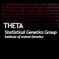 THETA / Statistical Genetics Group /
Department of Genetics /
Wrocław University of Environmental and Life Sciences in Poland