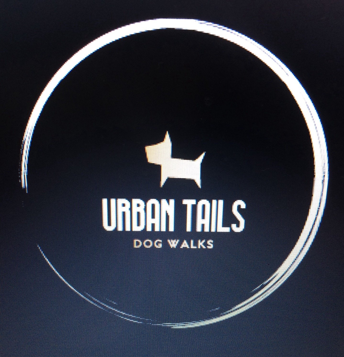 WalksUrban's profile picture. Urban Tails Dog Walks and Pet Care Find us on Facebook or email us direct at urbantailsdogwalks@gmail.com or pawshake https://t.co/2S4Q6tHaER