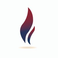 Vital Fire Solutions (@vfs_ltd) 's Twitter Profile