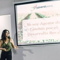 Alexis Cañari Moña(@AlexiCanari) 's Twitter Profile Photo