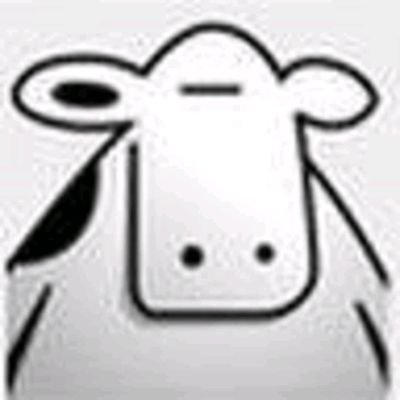 shanghaidante's profile picture. 