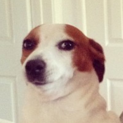 KrisMaidment's profile picture. Tattooist IG: Kris.Tattoos