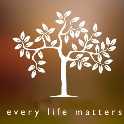 phearinbuon's profile picture. PHEARIN BUON