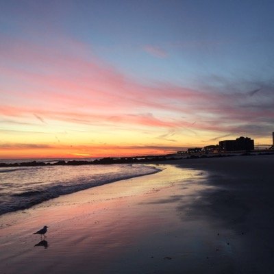 Here to celebrate Long Island, NY in all its glory. Sharing photos of the island's beautiful beaches, flowers, sunsets, restaurants and more.