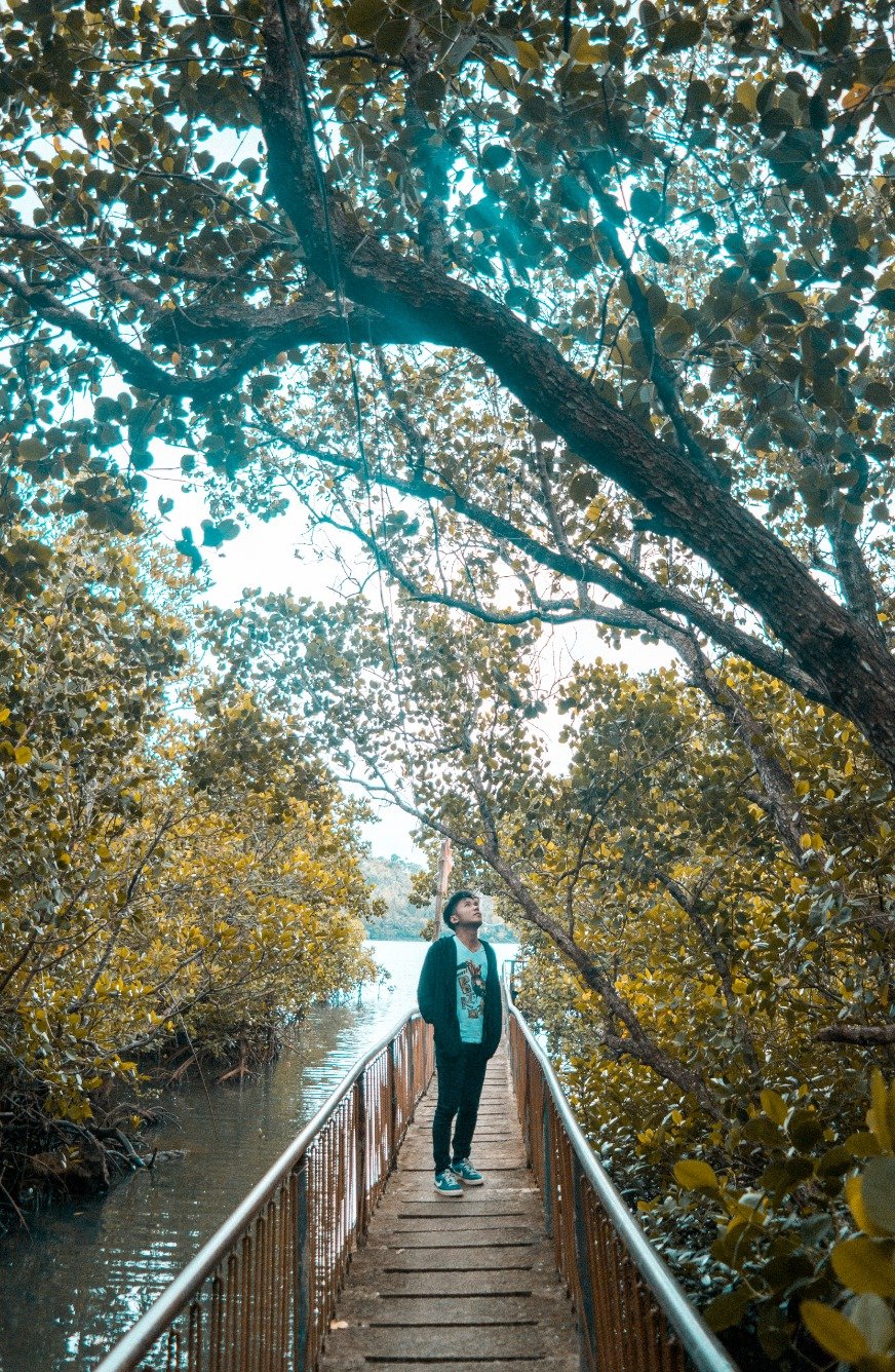 reggieramasasa's profile picture. 