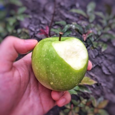 applebuko's profile picture. fuck who hacked me