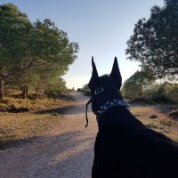 Ninjaspain 🇪🇦 (@elgorgon) 's Twitter Profile Photo Ninjaspain 🇪🇦 (@elgorgon) 's Twitter Profile Photo