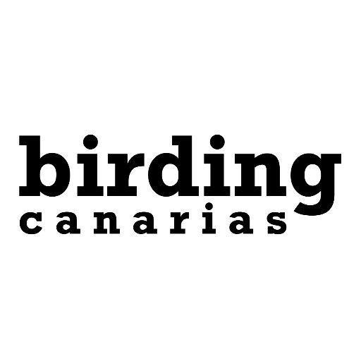 Birding Canarias empresa especializada en ecoturismo y birdwatching en la macaronésica y norte de África,educación ambiental y conservación de la biodiversidad.