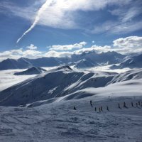 Audrey Dominique (@dominique94370) 's Twitter Profile