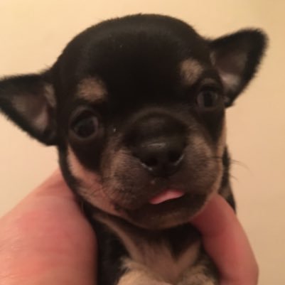 goliath70289241's profile picture. El tiempo es un círculo plano, todo lo hecho lo repetiremos.