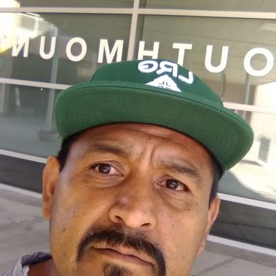 Pdogloc1's profile picture. We tend to caress the serpent that devours us!!!