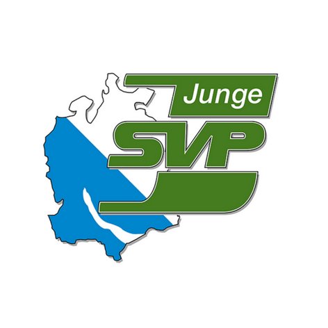 Junge SVP Kanton ZH Profile