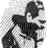 PhuurXVI's profile picture. Computers are useless. They can only give you answers.