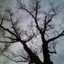 Deb Sanchez - @debsanchez561 - Twitter