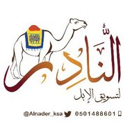 النادر لتسويق الابل (@alnader_ksa) 's Twitter Profile Photo النادر لتسويق الابل (@alnader_ksa) 's Twitter Profile Photo