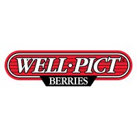 Well•Pict Berries(@wellpictberries) 's Twitter Profile Photo