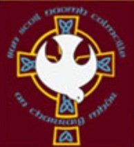St Colmcille’s PS, Carrickmore Profile