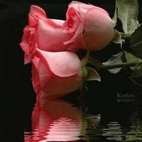 همسات ابحر الشماليه (@7ftdxvhv0tvtugr) 's Twitter Profile Photo