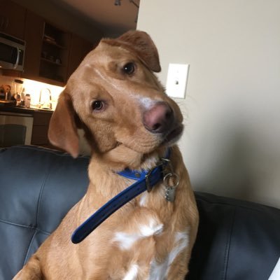 WrigleyCapital's profile picture. Investing, econ, and Chicago sports