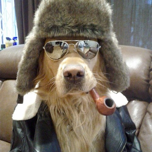 pdxpate's profile picture. Previously Founding Engineer @startplaying
Cofounded @sphinxdeploy
Currently building dev tools for AI