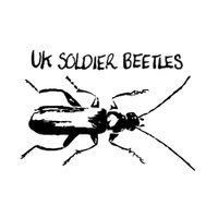 UK Soldier Beetles(@UKCantharidae) 's Twitter Profileg