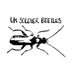 UK Soldier Beetles (@UKCantharidae) Twitter profile photo