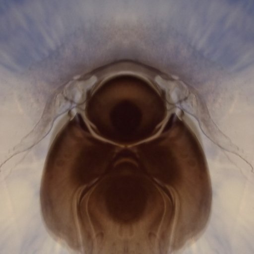 michael_greeff's profile picture. 🍺🤪