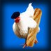 Dam Pouleto (@dam_pouleto) Twitter profile photo