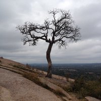 Ana Smith ☮️ (@thisisaheart) 's Twitter Profile Photo