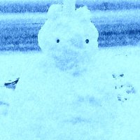 けんたろう (@blue_wine_man) 's Twitter Profile