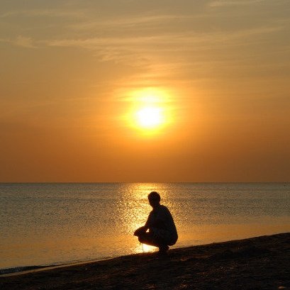 TONIMON77469866's profile picture. 