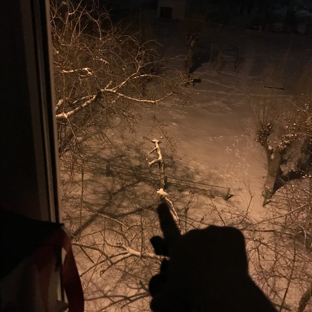 AlexeyNetlex's profile picture. Русские варвары врывались в кишлаки, аулы, стойбища, оставляя после себя города, библиотеки, университеты и театры.